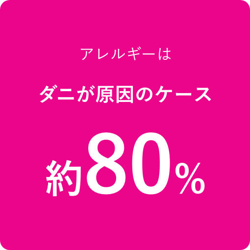 アレルギーはダニが原因のケース約80%