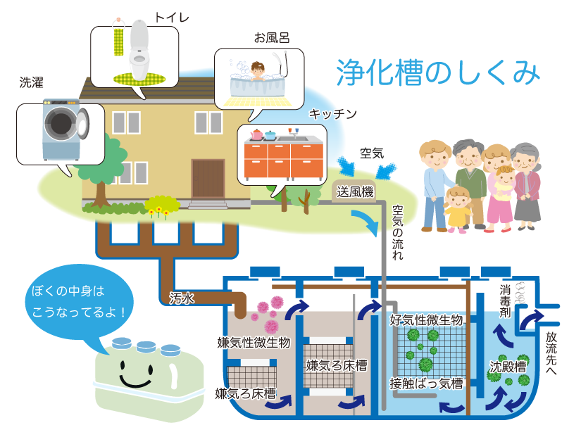 浄化槽とは？