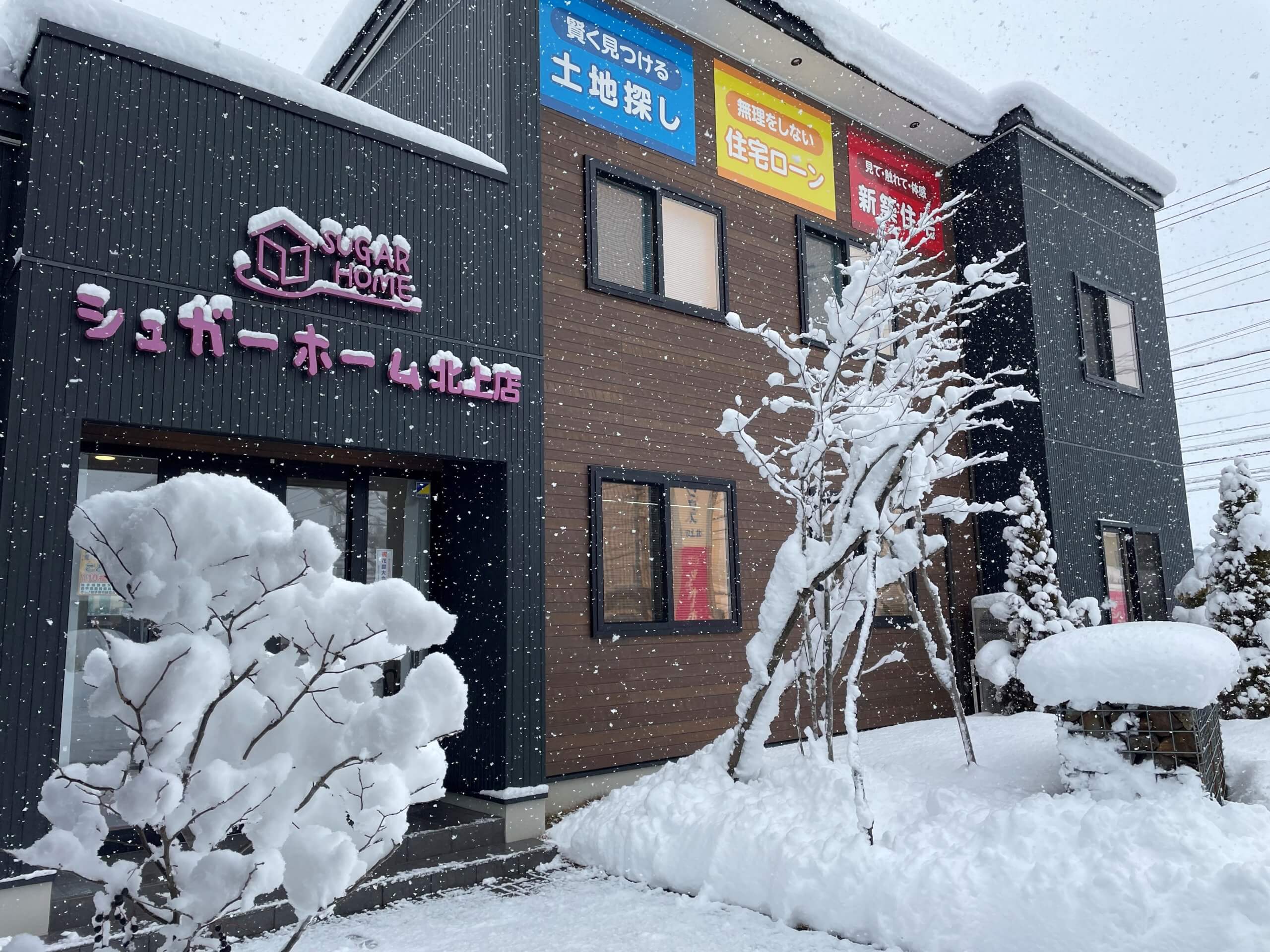 ついにこの季節がやってまいりました⛄