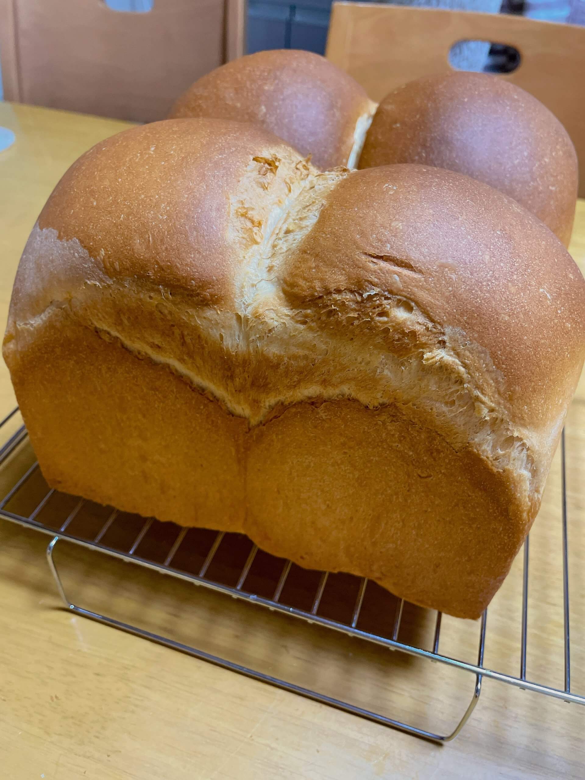 久しぶりのパン活🍞