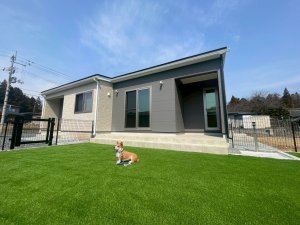 広々ドッグラン