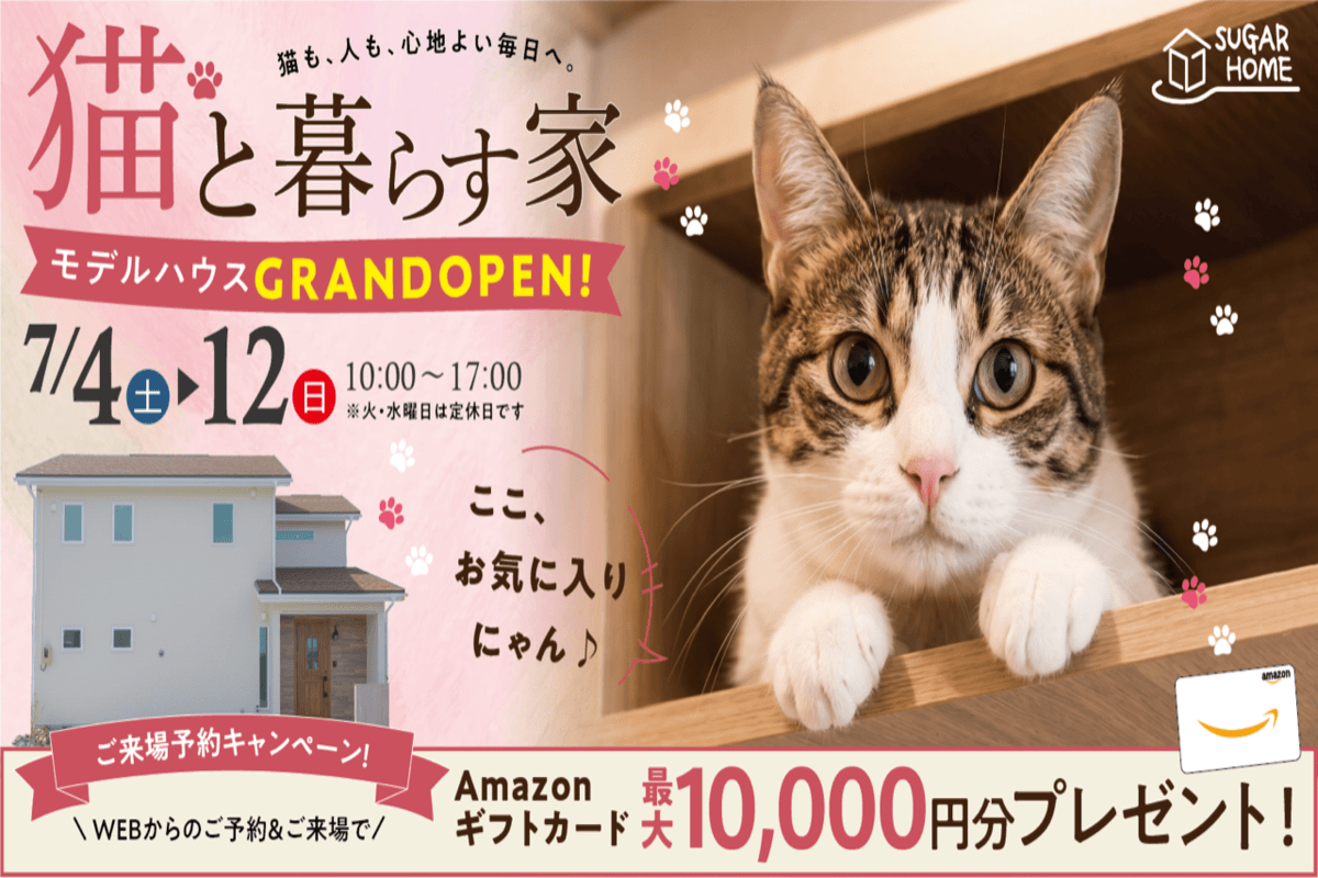 【北上店】猫と暮らす家🐱花巻市高木にオープン!!