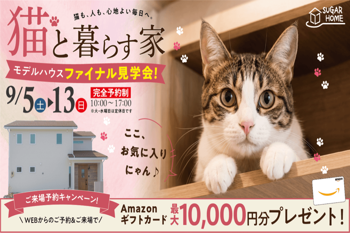 【北上店】猫と暮らす家🐱ファイナル見学会