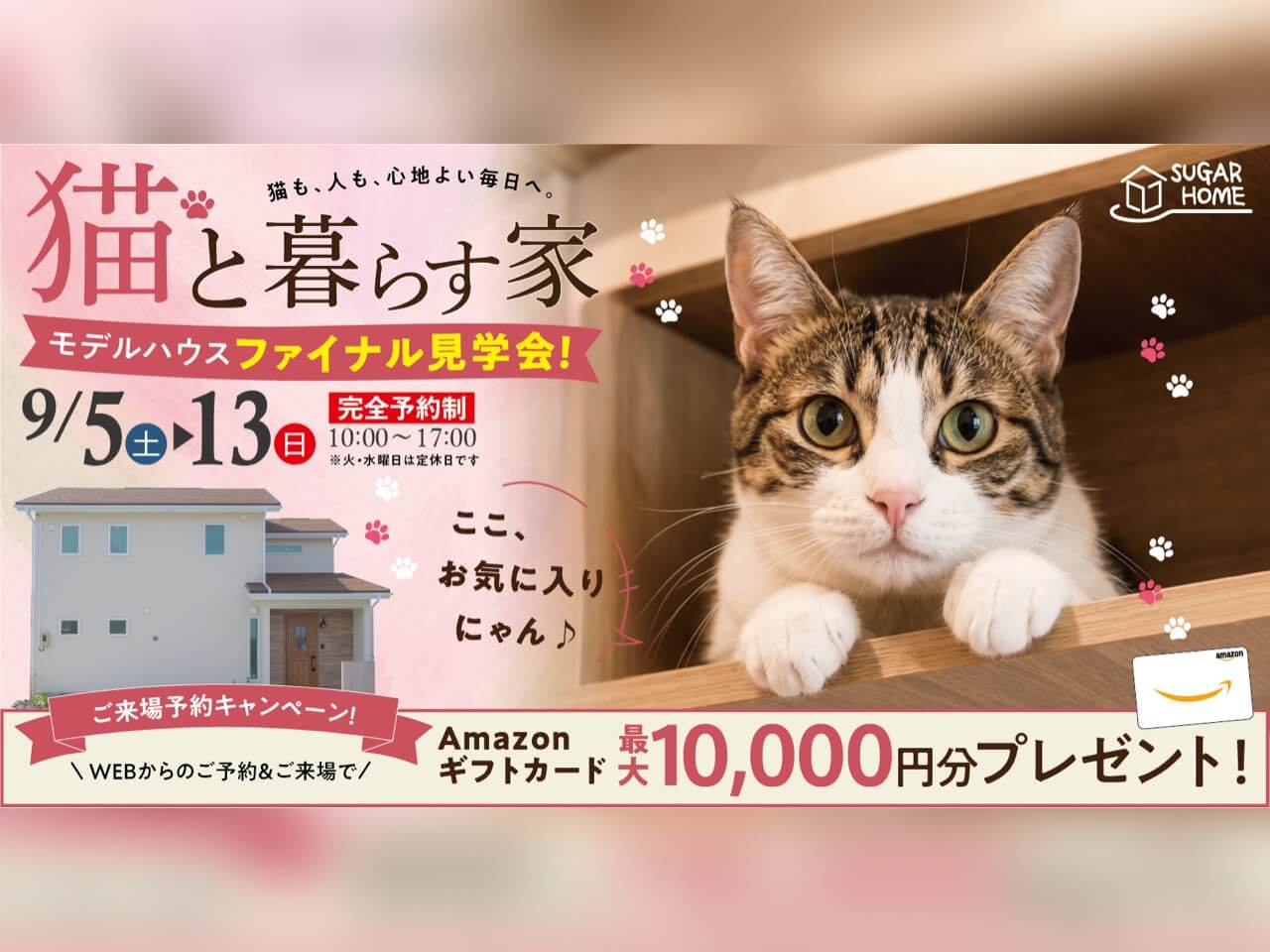 【北上店】猫と暮らす家🐱ファイナル見学会